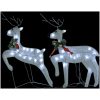 Julrenar 2 st vit 40 lysdioder vidaXL – miniatyr 7