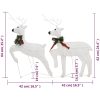 Julrenar 2 st vit 40 lysdioder vidaXL – miniatyr 8