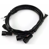 Kablage CANsmart DENALI