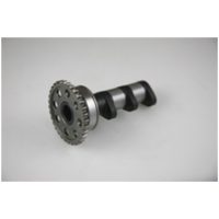 Kamaxel Avgas Hot Cams