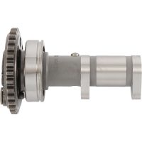 Kamaxel Avgas Hot Cams