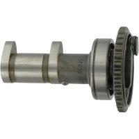 Kamaxel Avgas Hot Cams