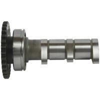 Kamaxel Insug Stage 1 HOT CAMS
