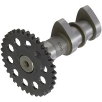Kamaxel Insug Stage 1 HOT CAMS
