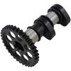 Kamaxel Insug Stage 1 HOT CAMS Steg 1 – miniatyr 2