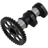 Kamaxel Insug Stage 1 HOT CAMS Steg 1 – miniatyr 1