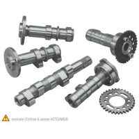 Kamaxel Insug Stage 2 HOT CAMS