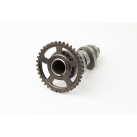Kamaxel Standard HOT CAMS