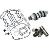 Kamaxelkit Hp+ Chain FEULING PARTS – miniatyr 1