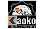 Kaoko logotyp