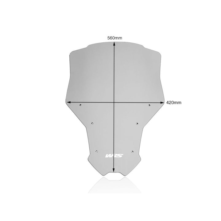 Kåpglas Capo Advanced Sports Rök WRS rök – bild 5