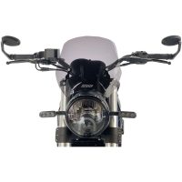 Kåpglas Sport Naked Bike Mörk Rök WRS