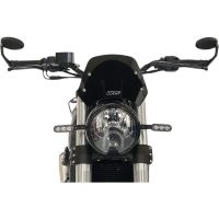 Kåpglas Tourer Rök WRS
