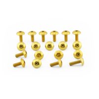 Kåpskruvsats Aluminium Guld PRO BOLT