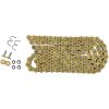 Kedja 520 Hpe Series Guld REGINA Drivkedja – miniatyr 6