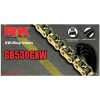 Kedja 530 GXW Guld RK 102 Länkar – miniatyr 2
