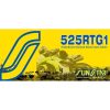 Kedja W-Ring 525 RTG1 Guld SUNSTAR 96 länkar W-Ring – miniatyr 1