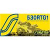 Kedja W-Ring 530 RTG1 Guld SUNSTAR 106 länkar W-Ring – miniatyr 1