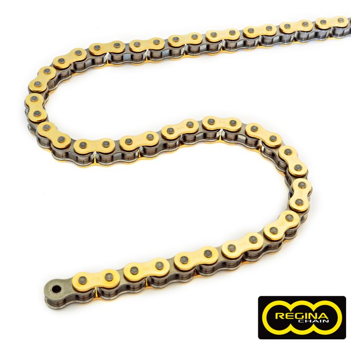 Kedjedrev 420 Rx3 Guld/Naturfärgad/Stål REGINA CHAIN 124RX3 420 X 126 LKS – bild 2