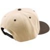 Keps Curved Snapback Imprint Beige Svart TROY LEE DESIGNS En storlek vuxen – miniatyr 2