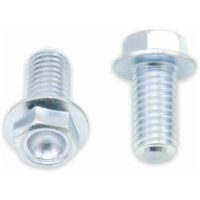 Kit of M6X 1X20mm screws and washers, by 10 BOLT