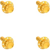 KIT TITANIUM 12PT WINDSHIELD GOLD Arlen Ness