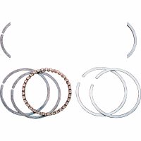 Kolvaringar Ersättning Performance HASTINGS