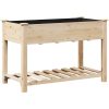Köpplanterare med hylla 115x59x76 cm Solid träfuru vidaXL 115 x 59 x 76,5 cm – miniatyr 7