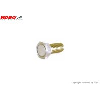 Koso disc magnet srcew