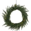 Krans Thuja Grön Star Trading – miniatyr 1
