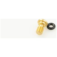 KYB Front Fork Bleed Bolt Complete Gold