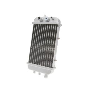Kylare Silver 101 OCTANE