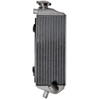 Kylare Silver KSX