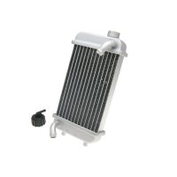 Kylarlock Silver 101 OCTANE