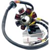 Laddningskit Hot Shot Kompatibel Med Litiumjonbatteri RICKS MOTORSPORT Laddningskit – miniatyr 1