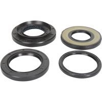 Lager Kit Differential Bak Moose Racing