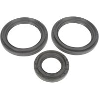 Lager Kit Differential Bak Moose Racing