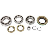 Lager Kit Differential Bak Moose Racing