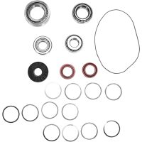 Lager Kit Differential Bak Moose Racing