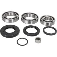 Lager Kit Differential Bak Moose Racing