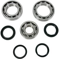 Lager Kit Differential Bak Moose Racing