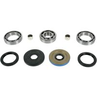 Lager Kit Differential Bak Moose Racing