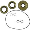 Lager Kit Differential Fram Moose Racing – miniatyr 1