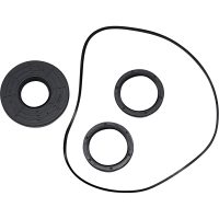 Lager Kit Differential Fram Moose Racing