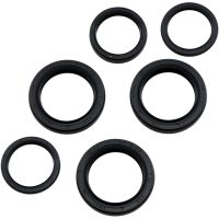 Lager Kit Differential Fram Moose Racing