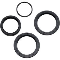 Lager Kit Differential Fram Moose Racing