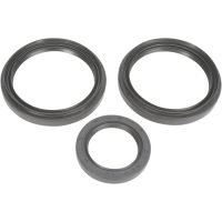 Lager Kit Differential Fram Moose Racing