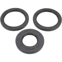Lager Kit Differential Fram Moose Racing