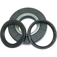Lager Kit Differential Fram Moose Racing