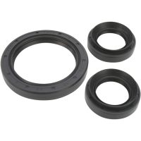 Lager Kit Differential Fram Moose Racing